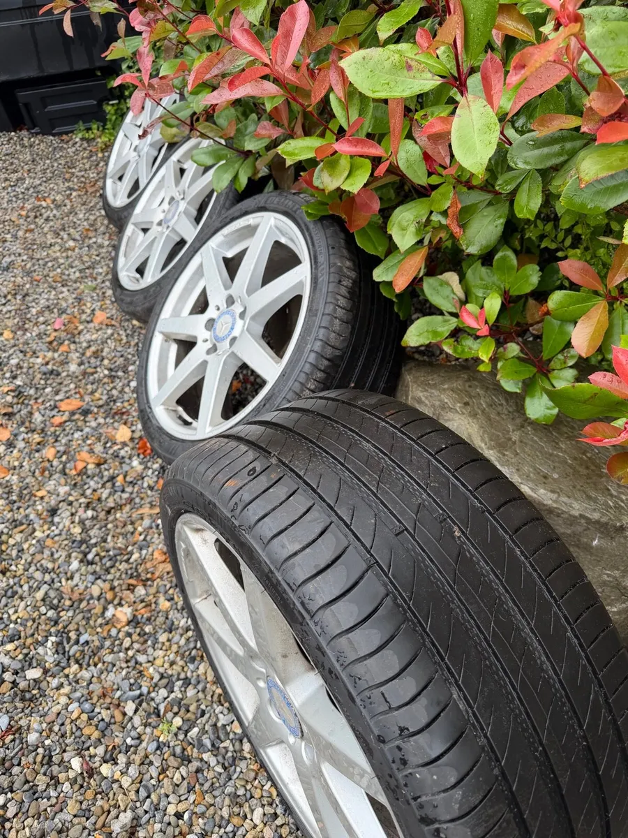 Alloys - Image 2