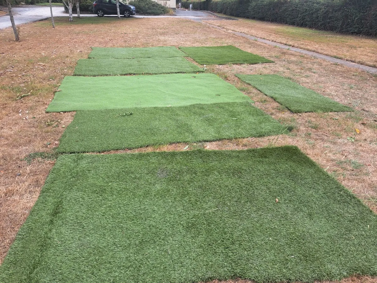 Astro turf/Golf putting green - Image 2