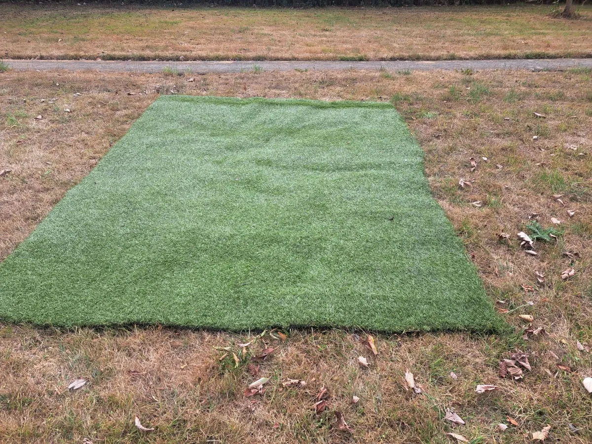 Astro turf/Golf putting green - Image 3