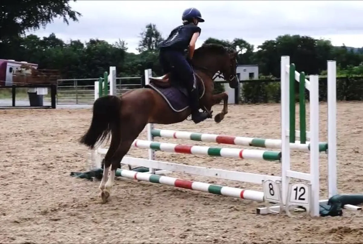 🌟 Super 12h All Rounder 🌟 - Image 4