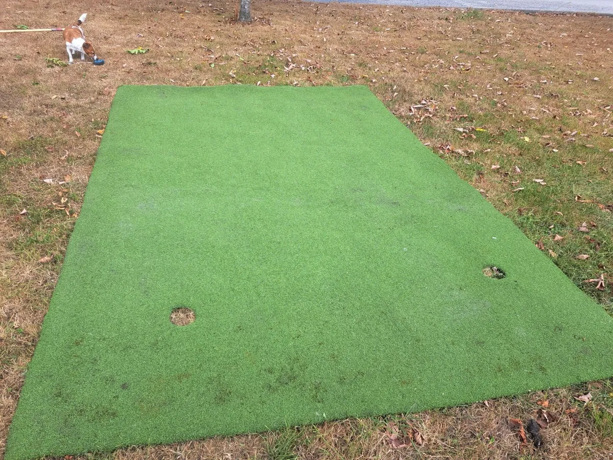 Astro turf/Golf putting green - Image 4