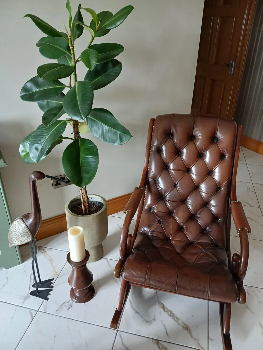 Chesterfield Slipper Rocking chair - Image 1