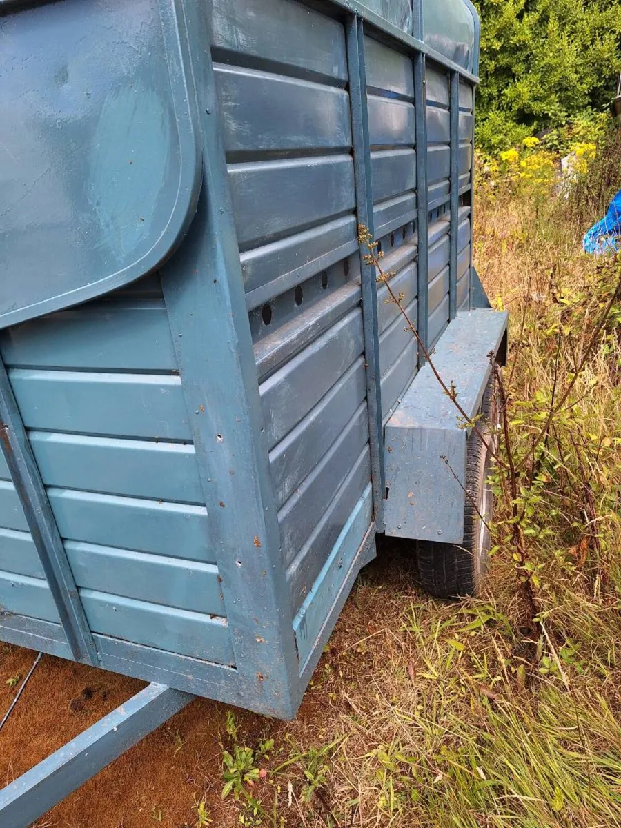8 x 5 livestock trailer - Image 4