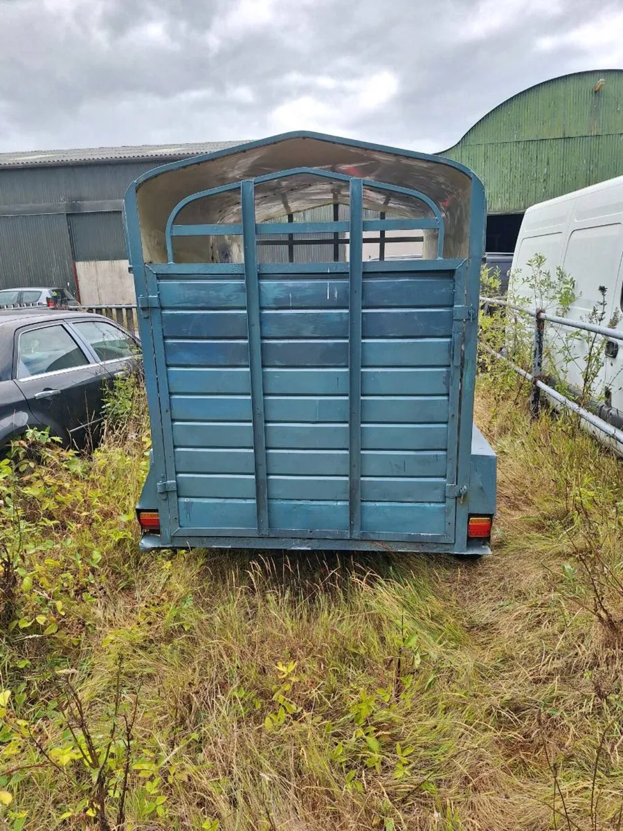 8 x 5 livestock trailer - Image 3