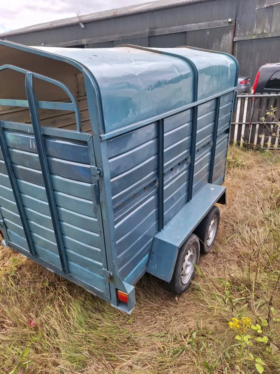 8 x 5 livestock trailer - Image 2
