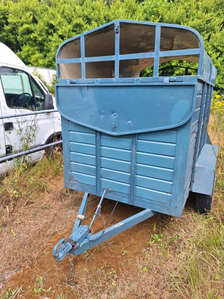 8 x 5 livestock trailer - Image 1