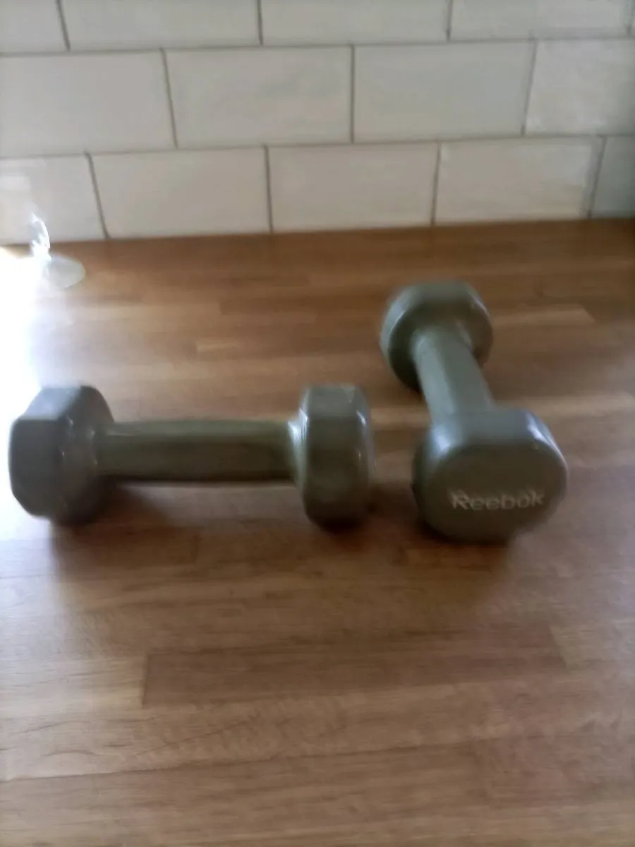 Weights - Image 2