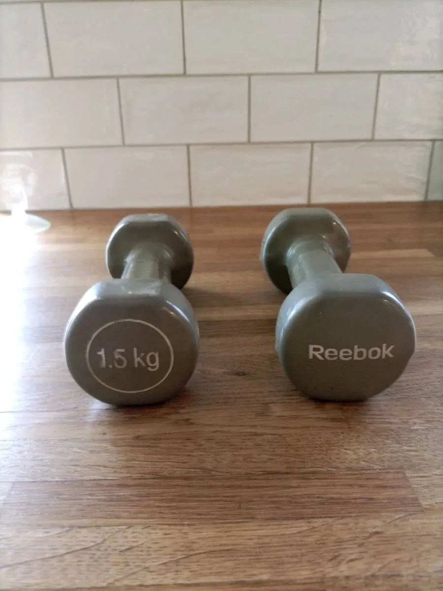 Weights - Image 1