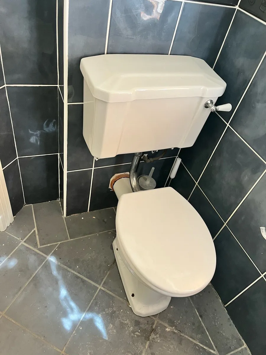 Toilets - Image 1