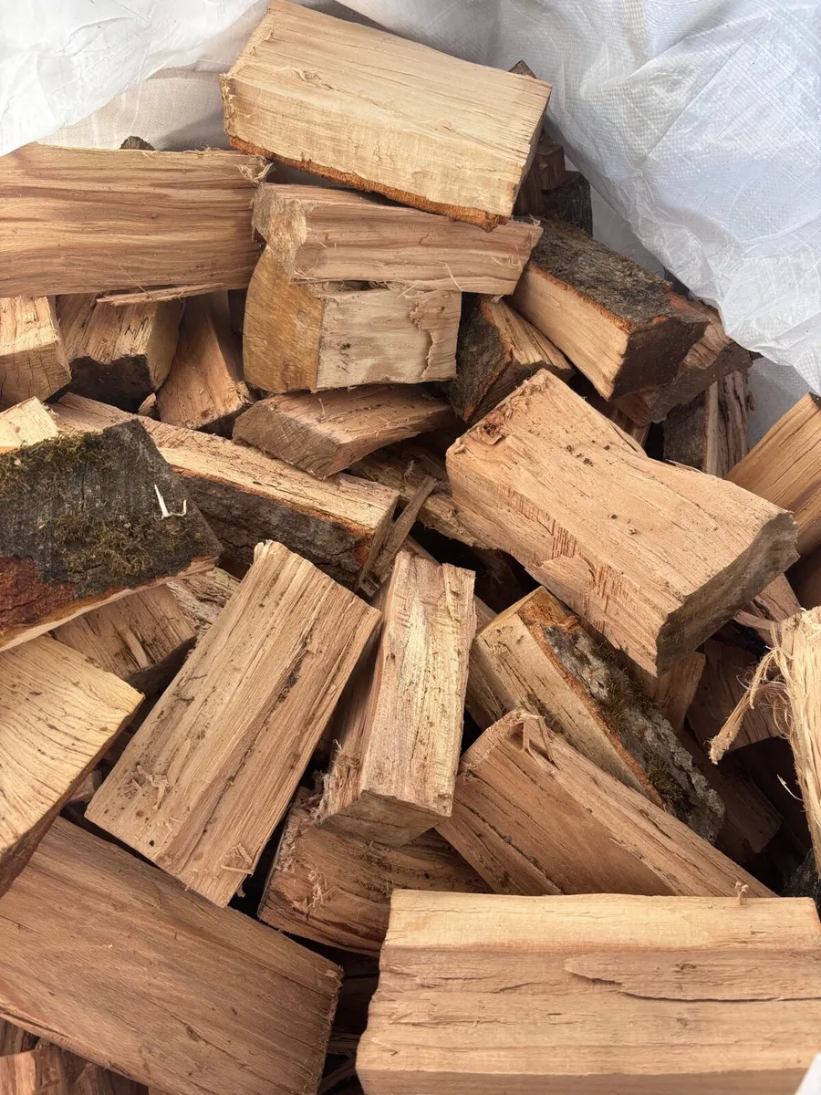 Firewood - Image 2