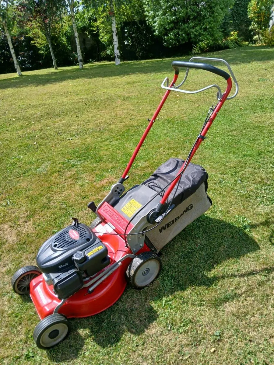 Weibang Lawnmower - Image 2