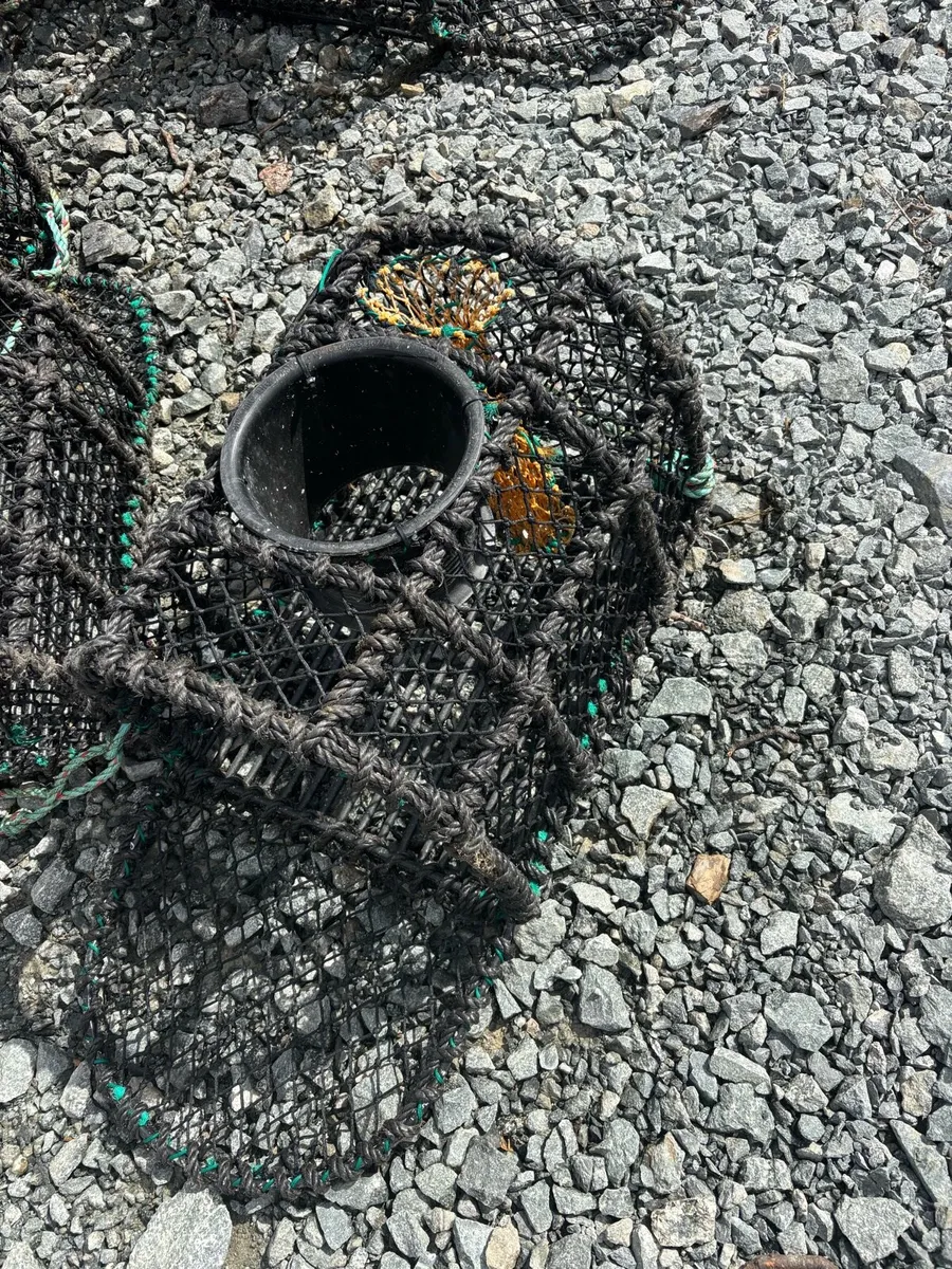 Spider pots - Image 1
