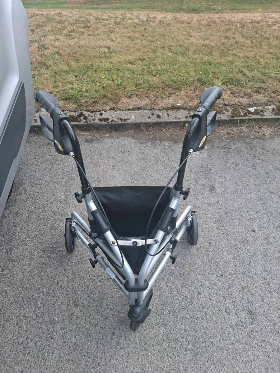 Walker - Image 2