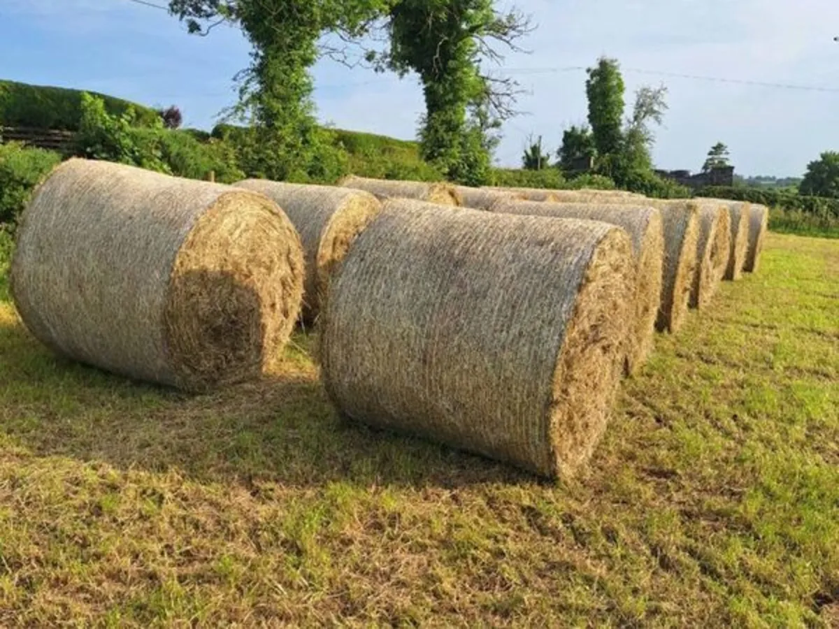 Hay Bales