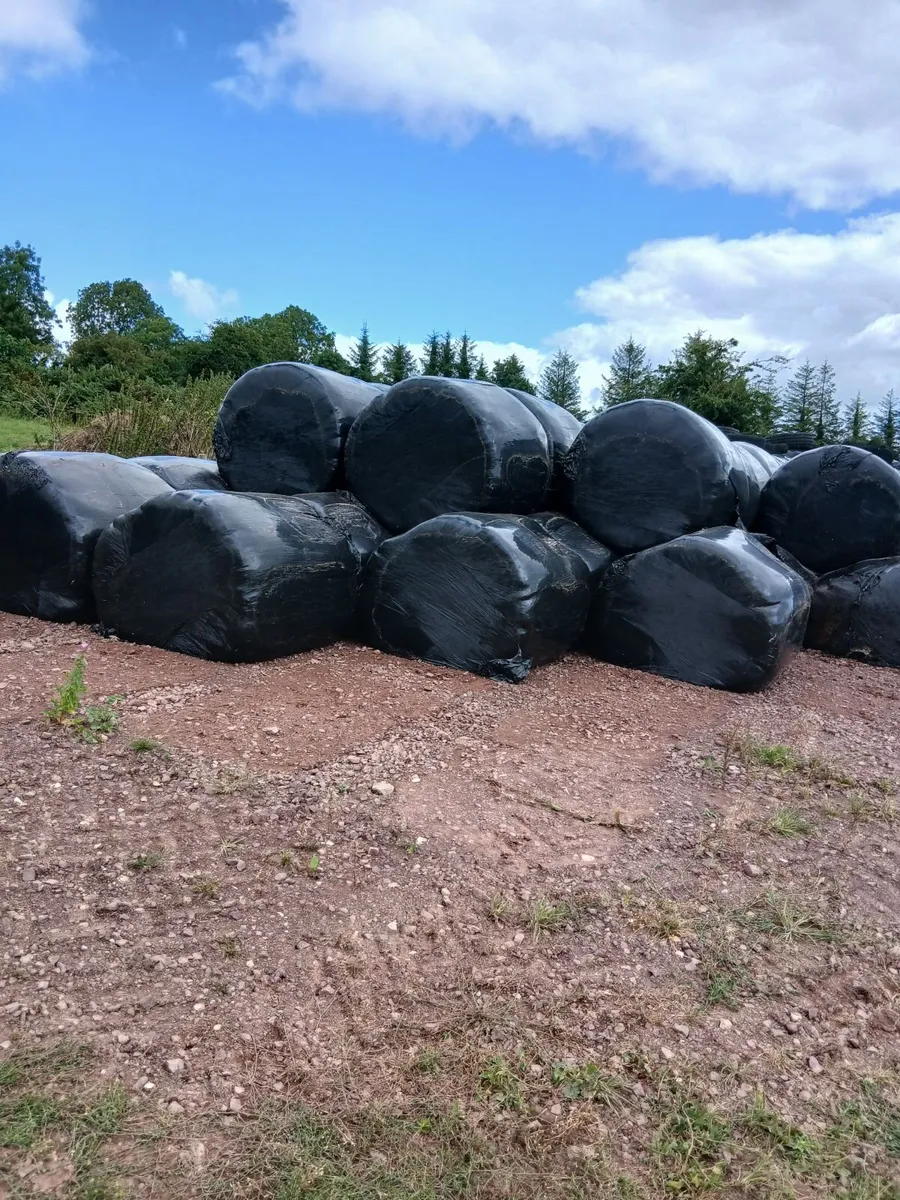 Silage bales