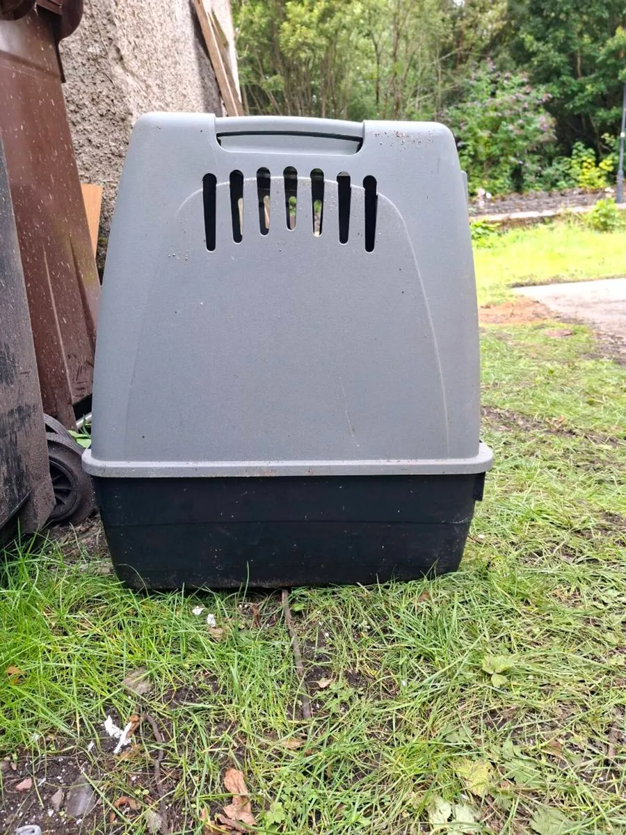 Dog kennel box - Image 1