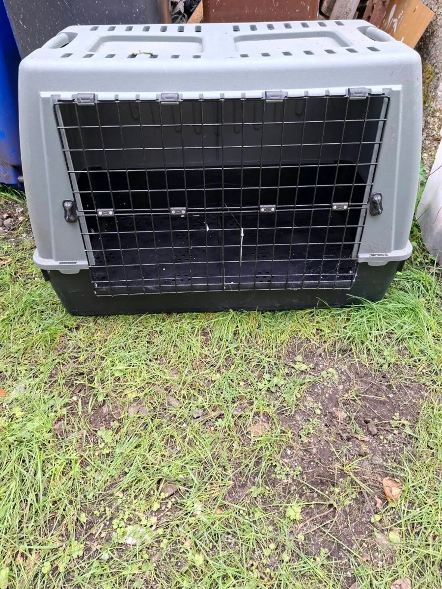 Dog kennel box - Image 3