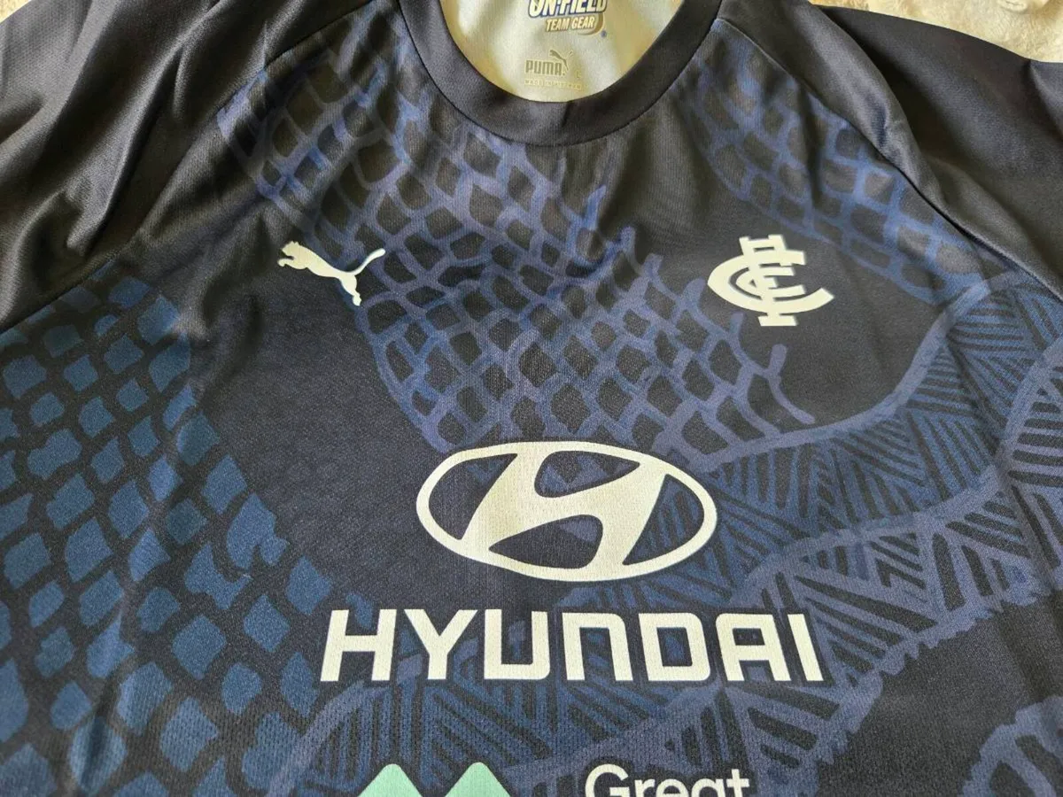 Carlton Blues AFL Warm Up Home Jersey 2022 Large - Image 4