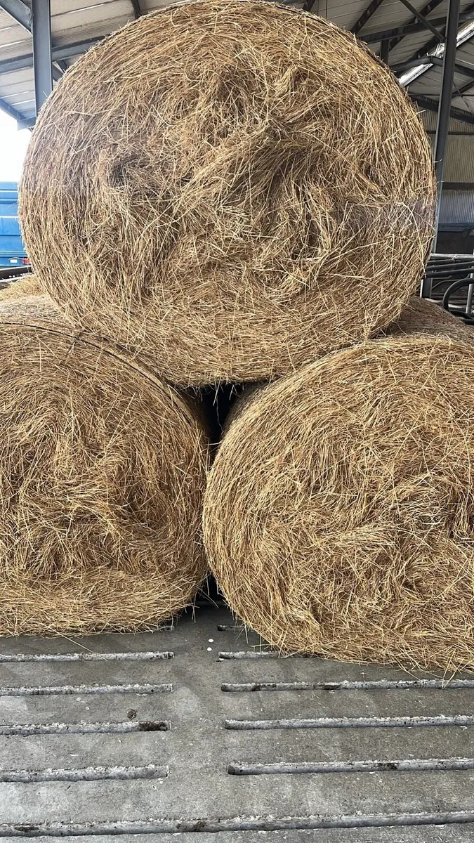 Round Hay bales