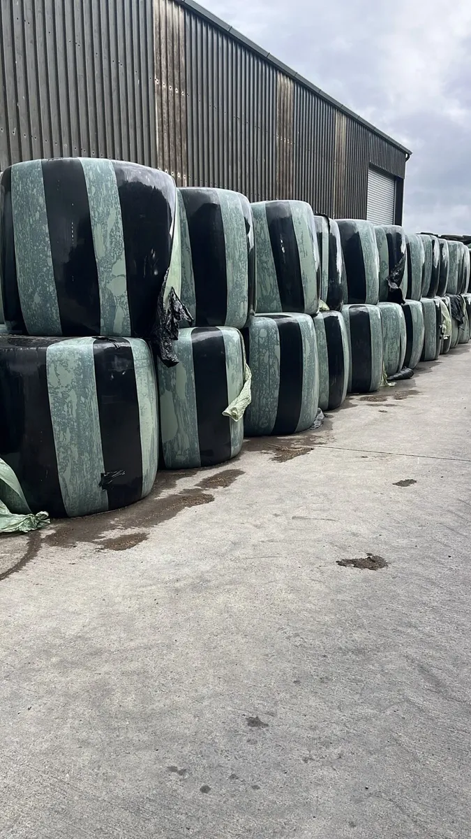 Round Silage bales
