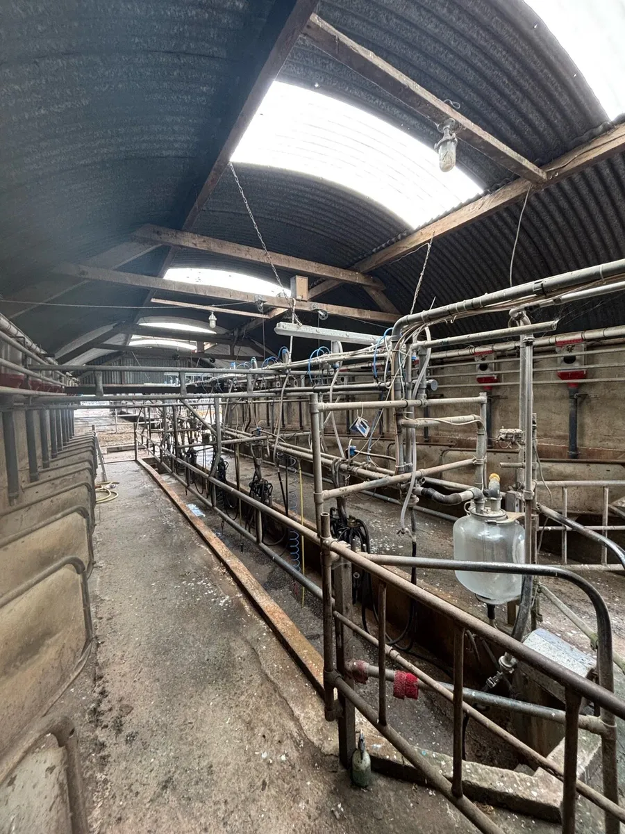 12 unit milking parlour - Image 1