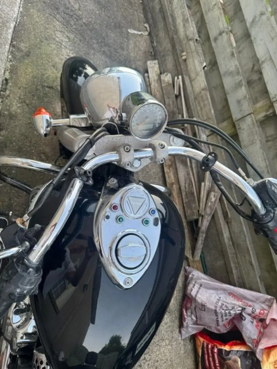 Triumph - Image 2