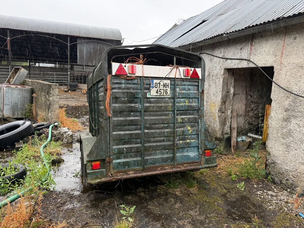 Delaney Delmore cattle trailer - Image 2