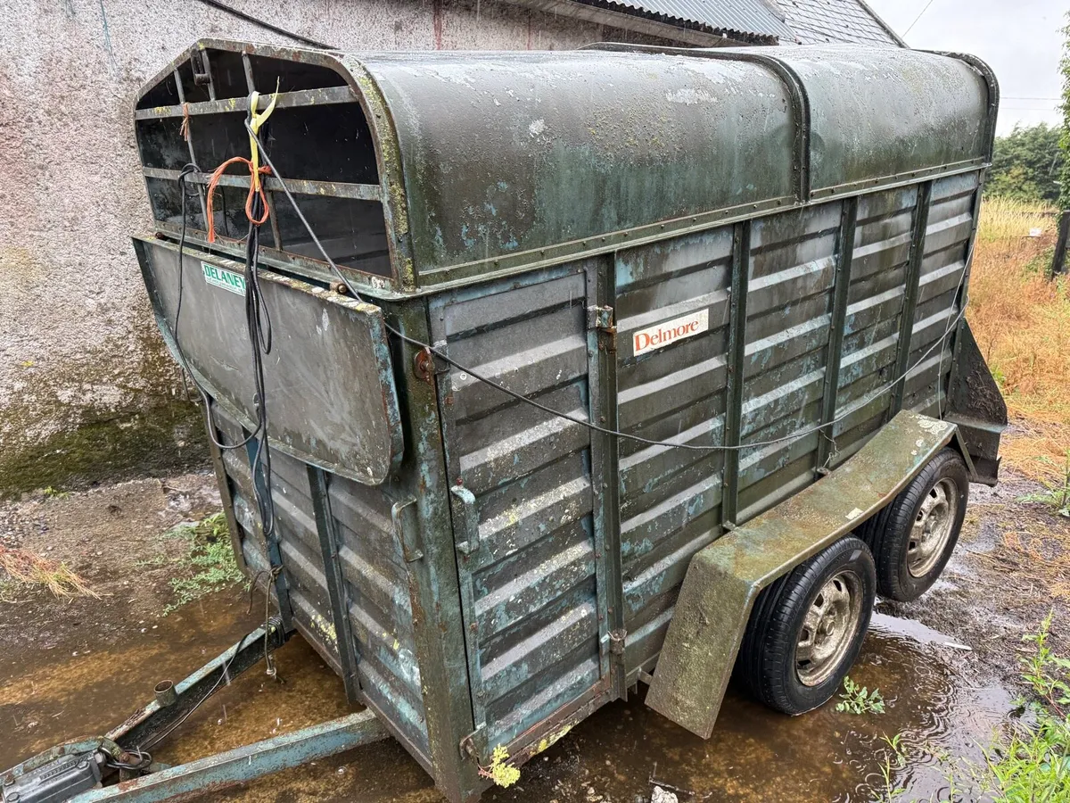 Delaney Delmore cattle trailer - Image 3