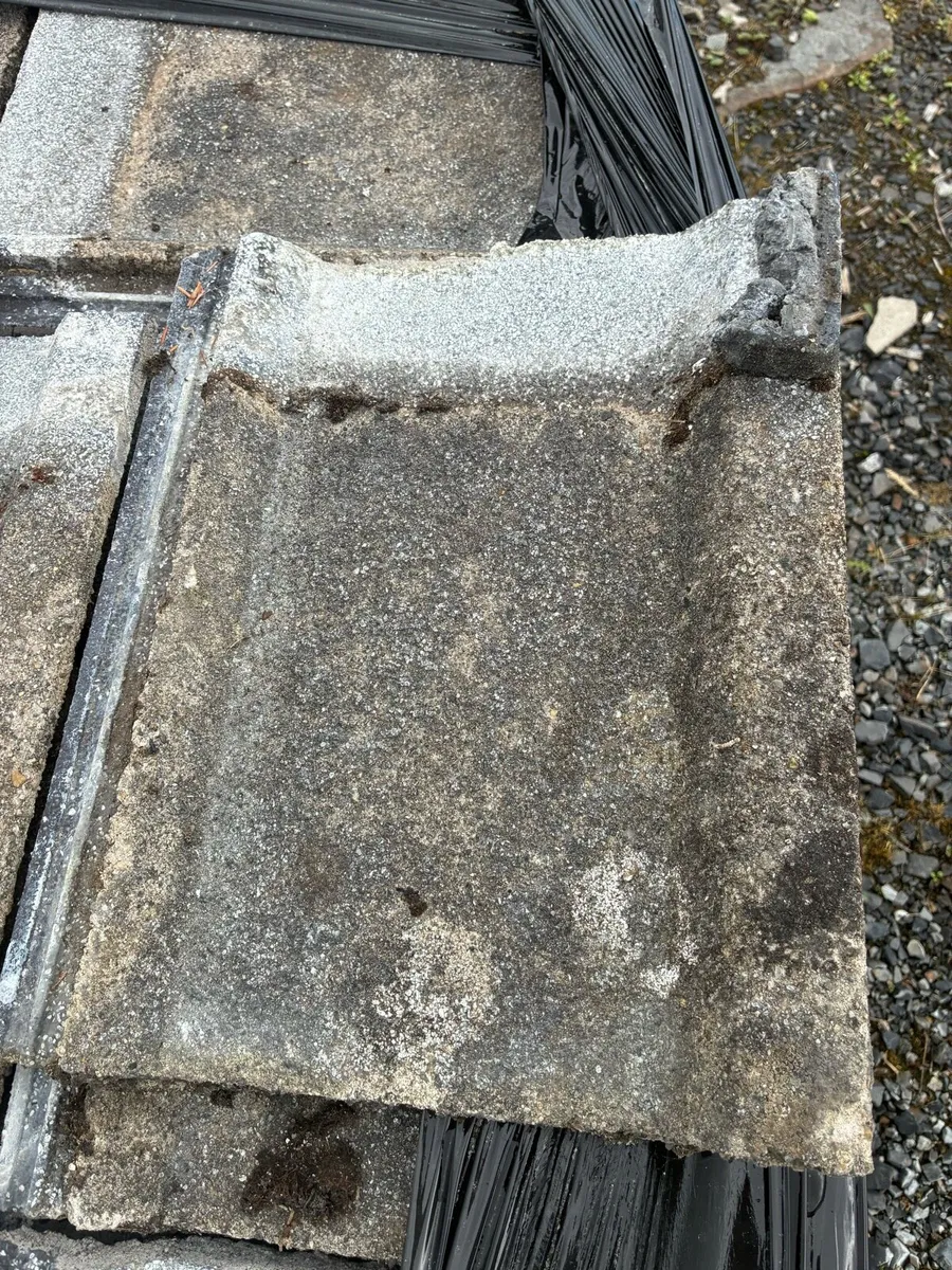 Wessex roof tiles