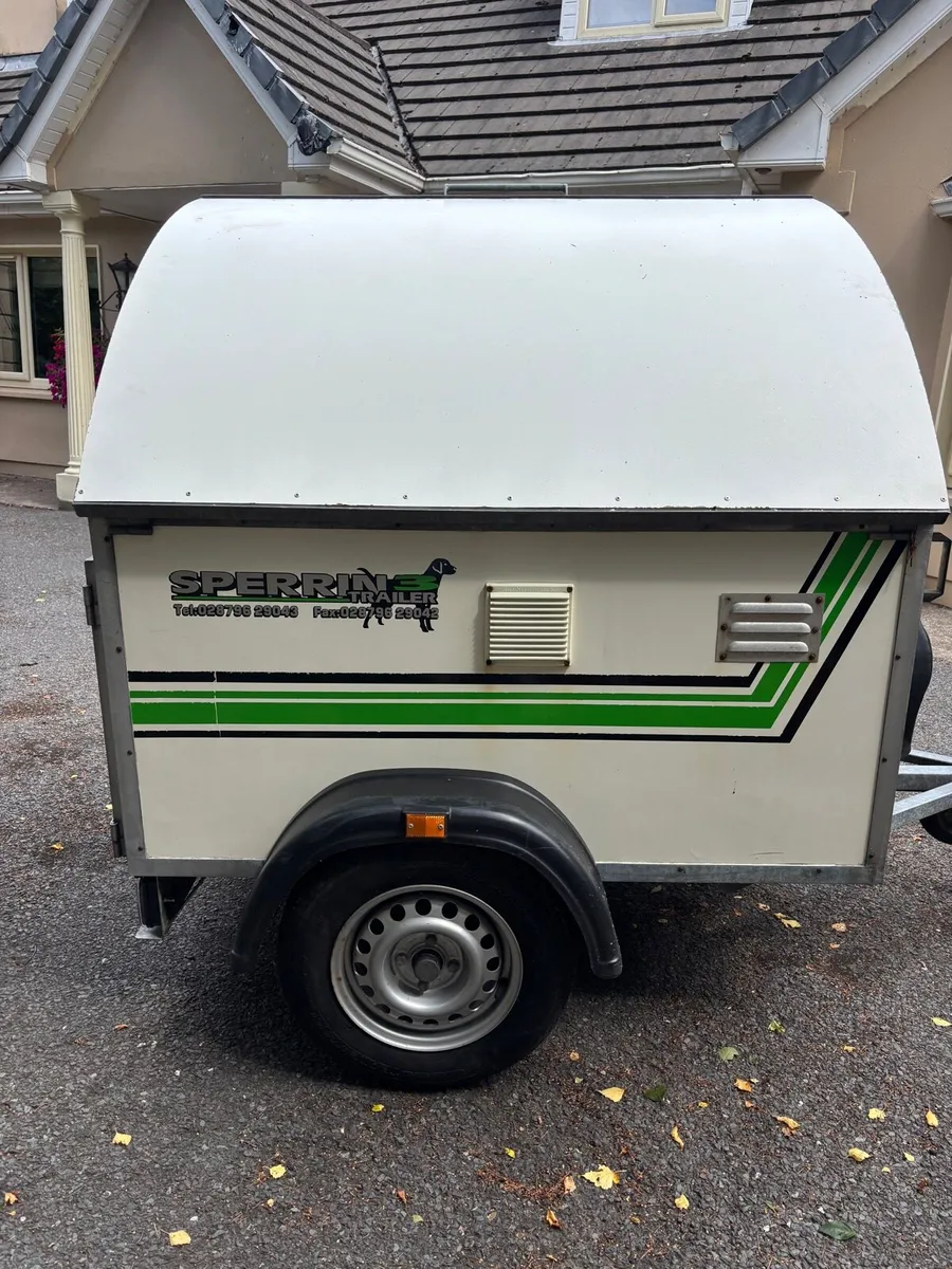 Sperrin Dog Trailer - Image 3