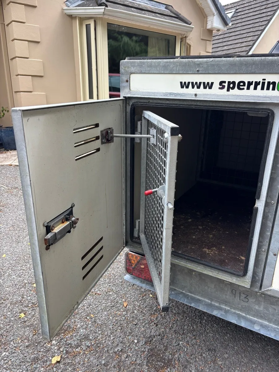 Sperrin Dog Trailer - Image 4