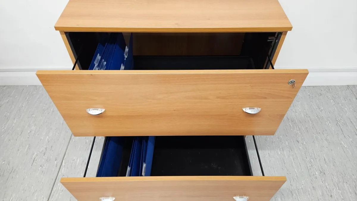 Large Filing Cabinet - Image 3