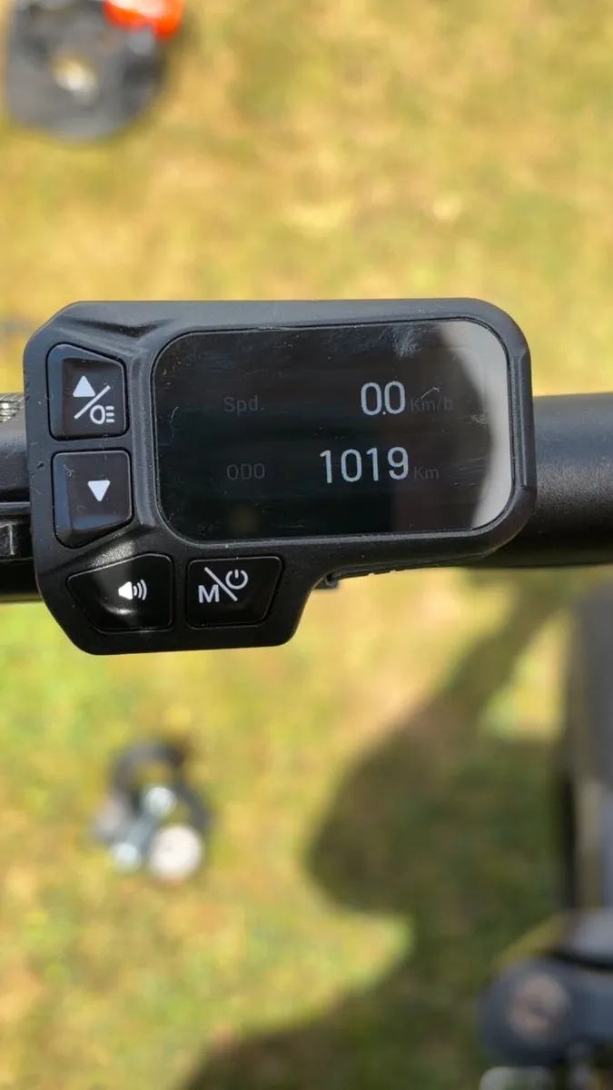 Fiido M1 Pro - Image 1