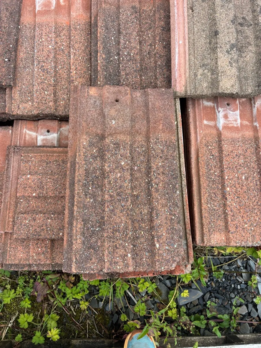 Red roof tiles