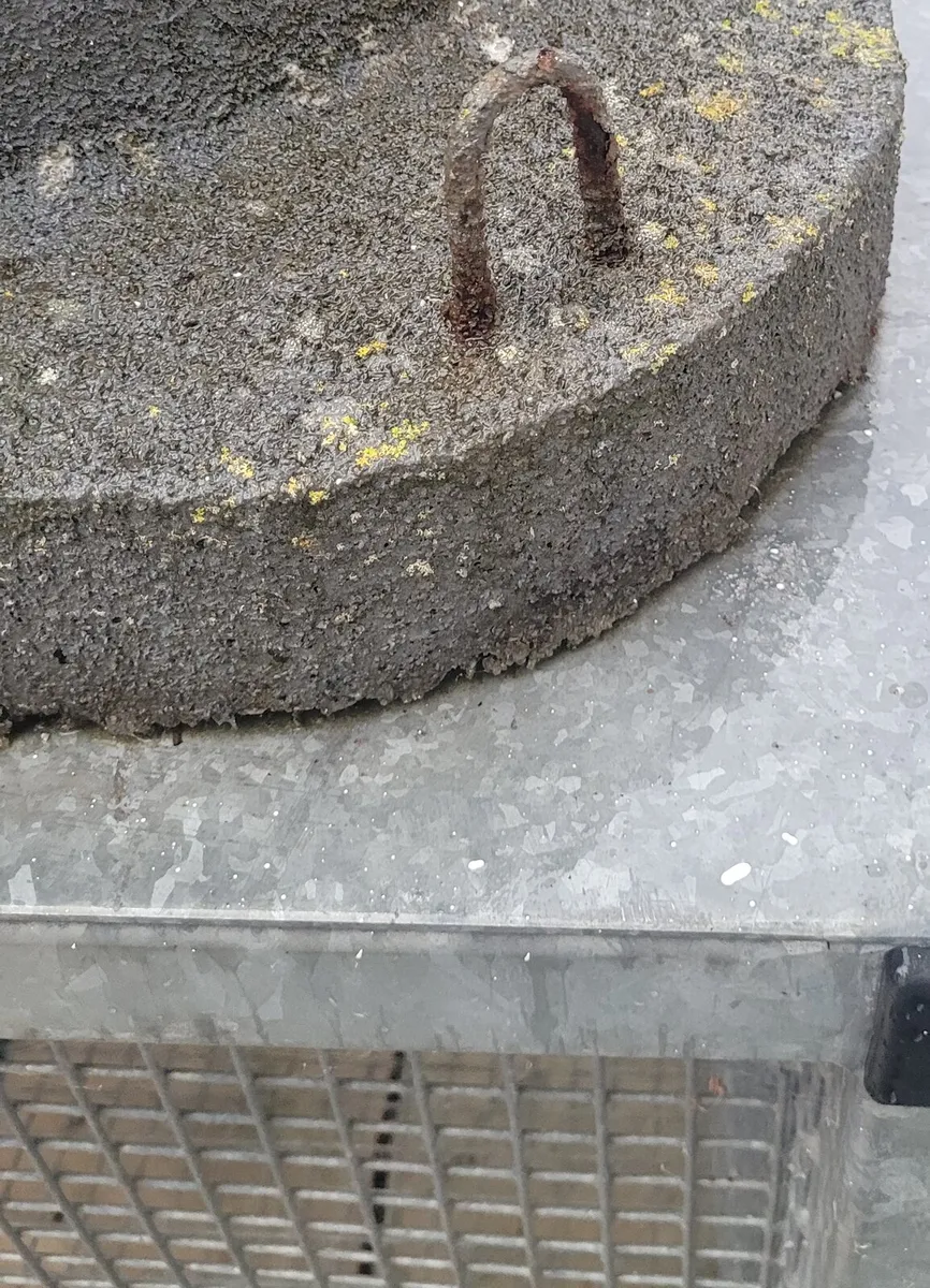Outdoor pizza oven - Image 4