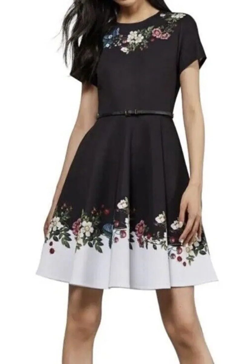 Ted Baker London Chestna Oracle Skater Dress - Image 1