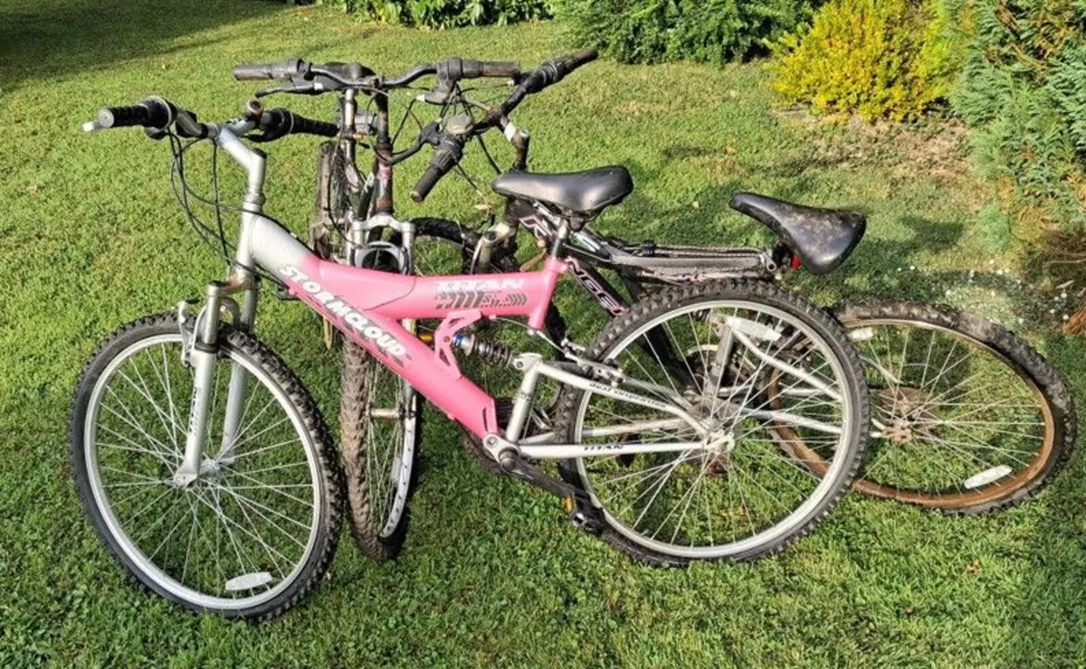 Bicycle - Image 1