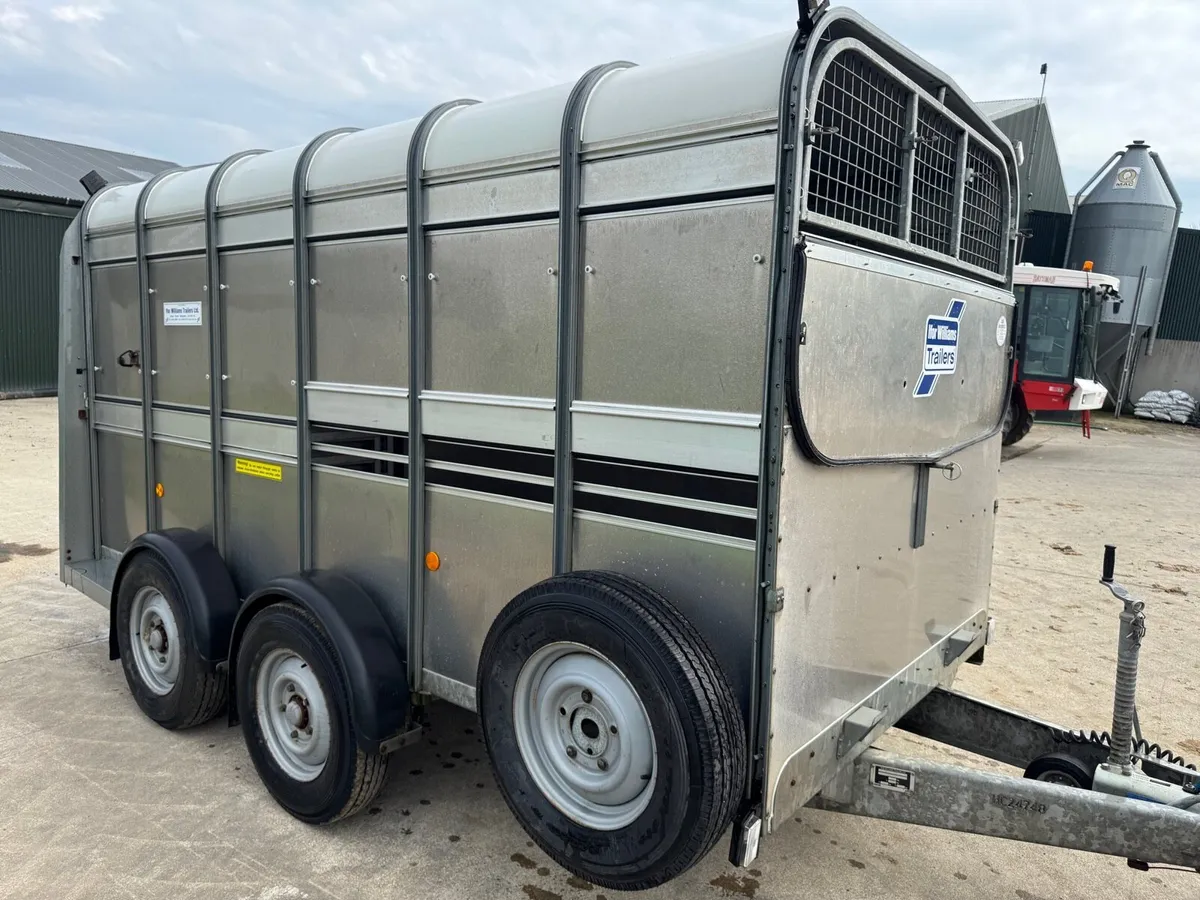Ifor Williams - Image 1