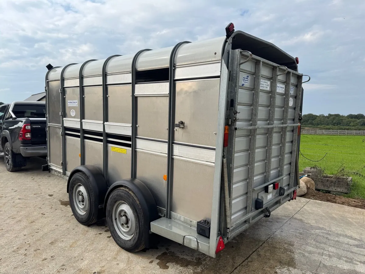 Ifor Williams - Image 3