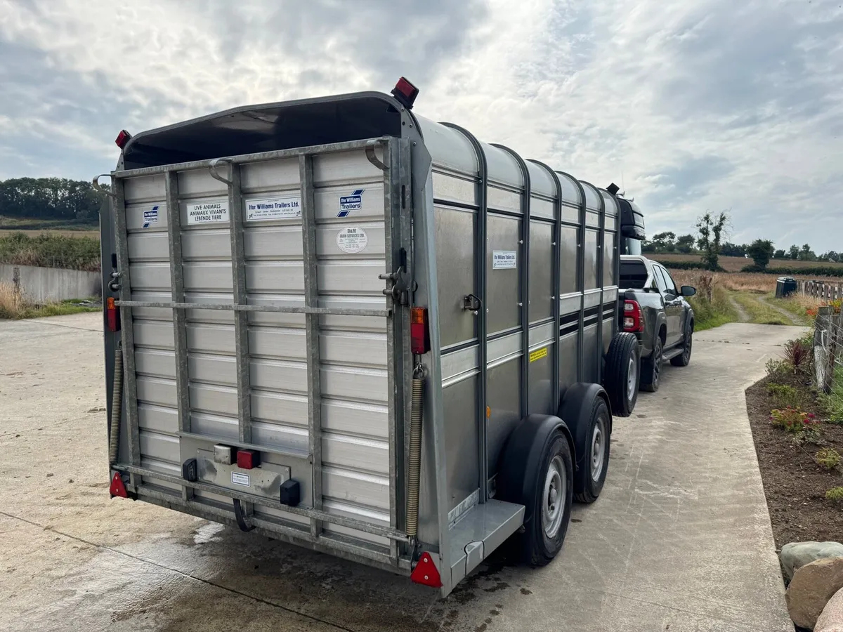 Ifor Williams - Image 2