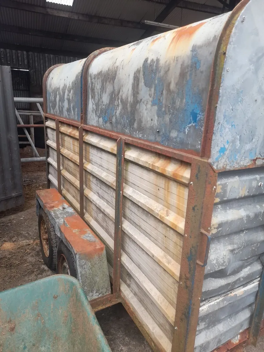 Cow Box - Image 1