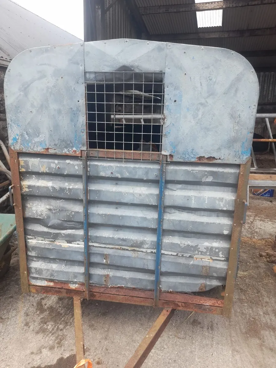 Cow Box - Image 3
