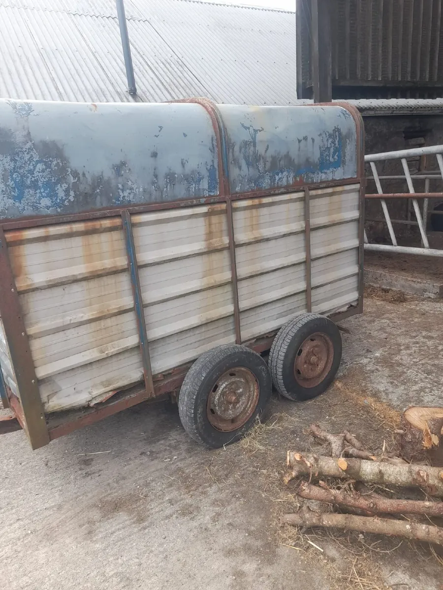 Cow Box - Image 2