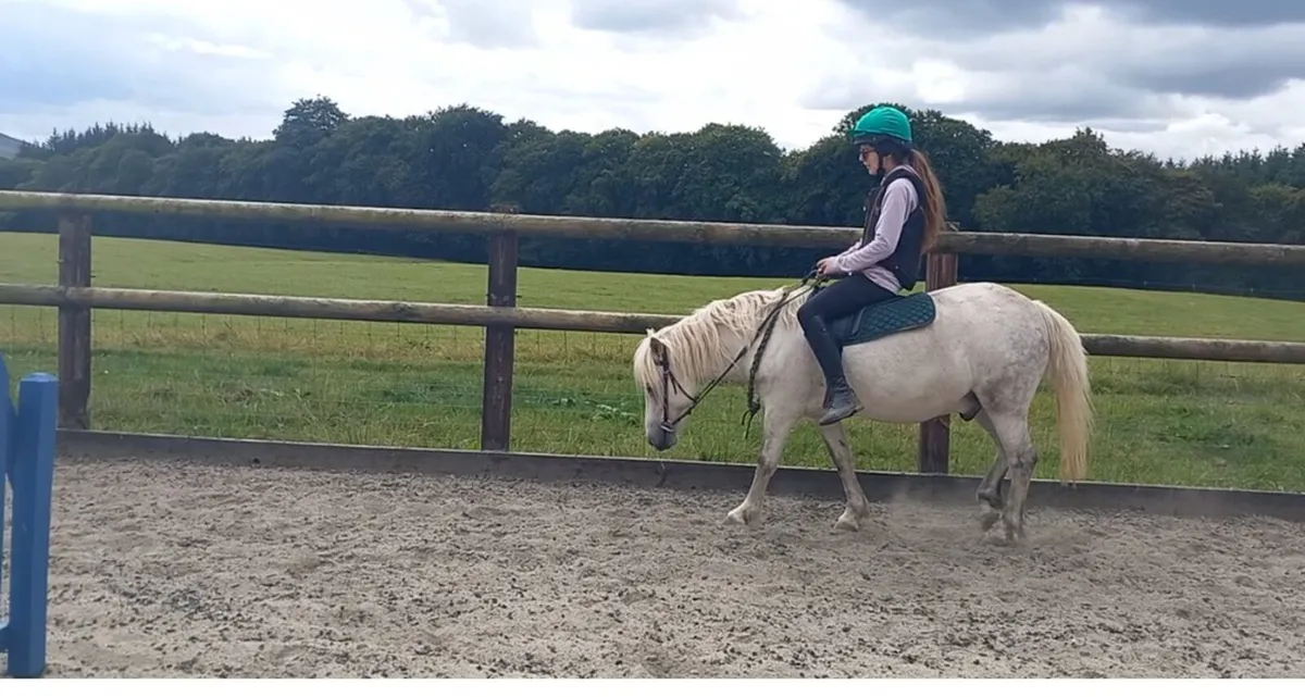 🐴 Kids Pony 11.3hh 🐴 - Image 4