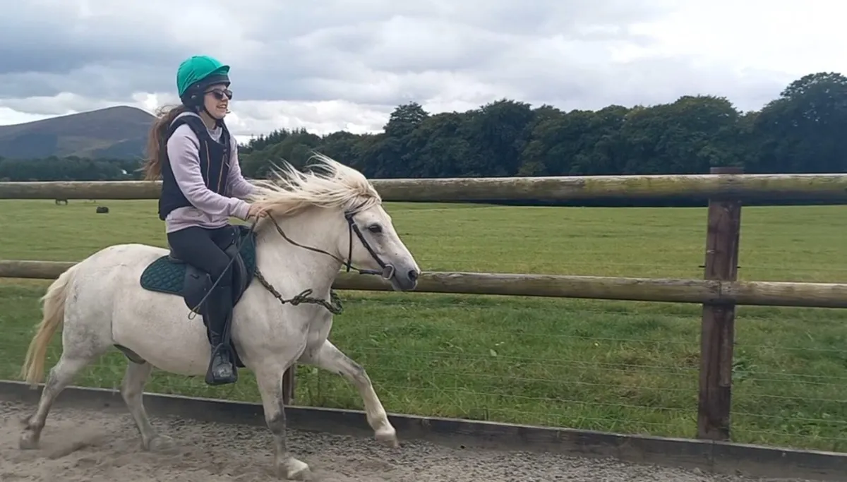🐴 Kids Pony 11.3hh 🐴 - Image 2