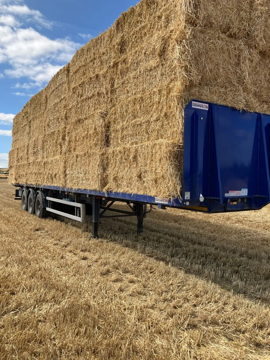 Hay and straw Wanted - Image 1