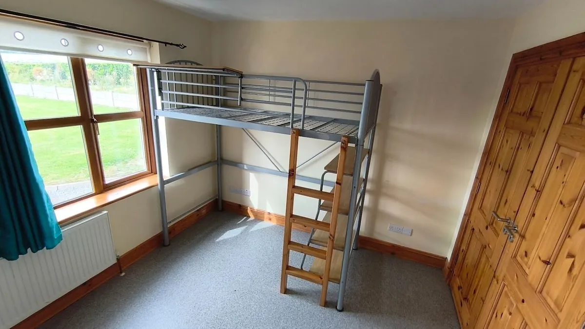 Metal Frame Bunk Bed Solid Wood Ladder - Image 4
