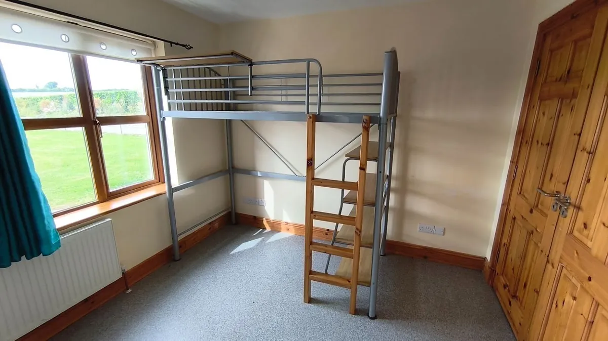 Metal Frame Bunk Bed Solid Wood Ladder - Image 1