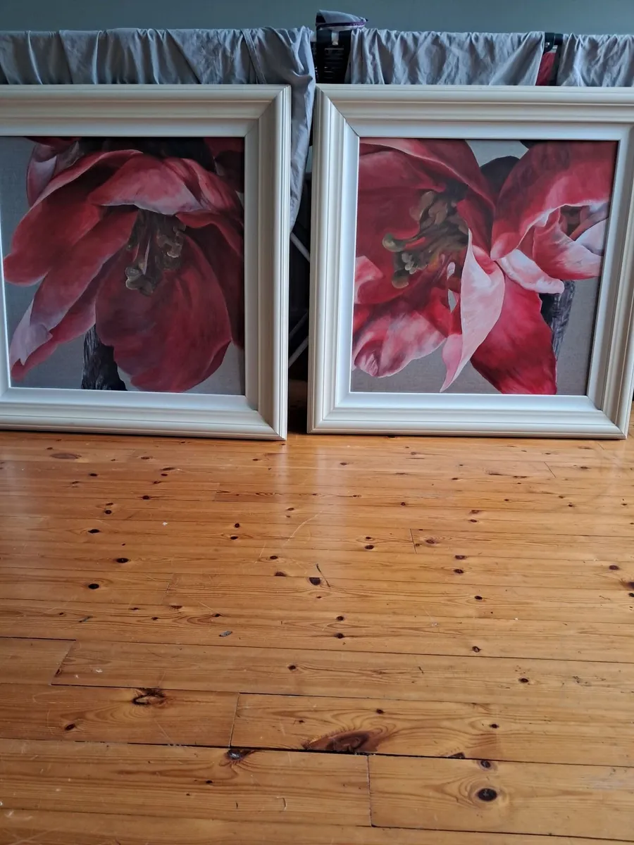 Curtains + two pictures - Image 3