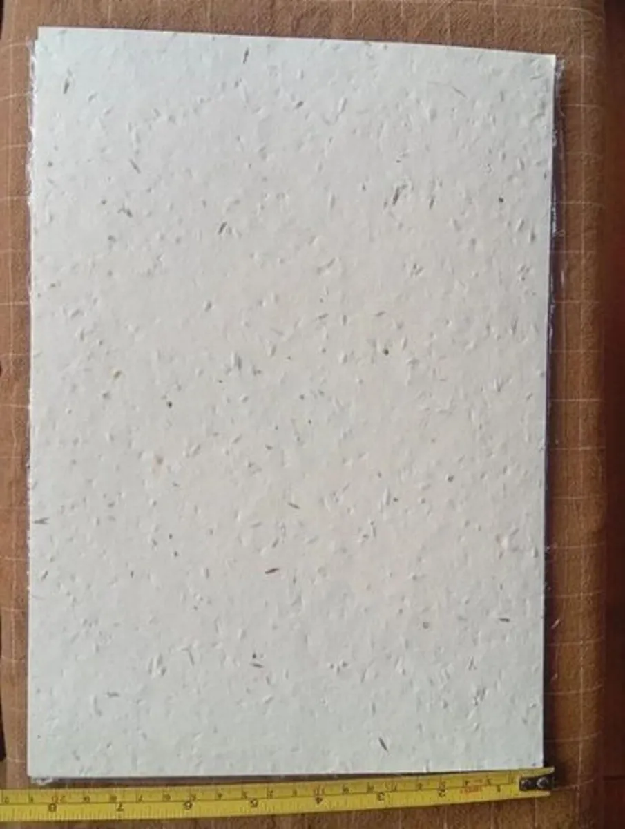 A4 Eco Bloom Plantable Seed Paper Natural - Image 1